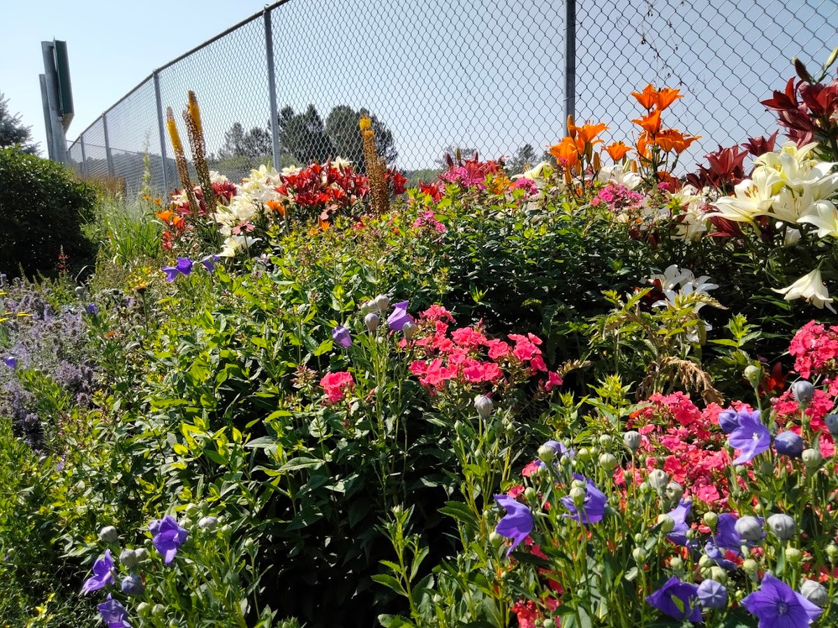 Larkspur Community Park exterior entrance