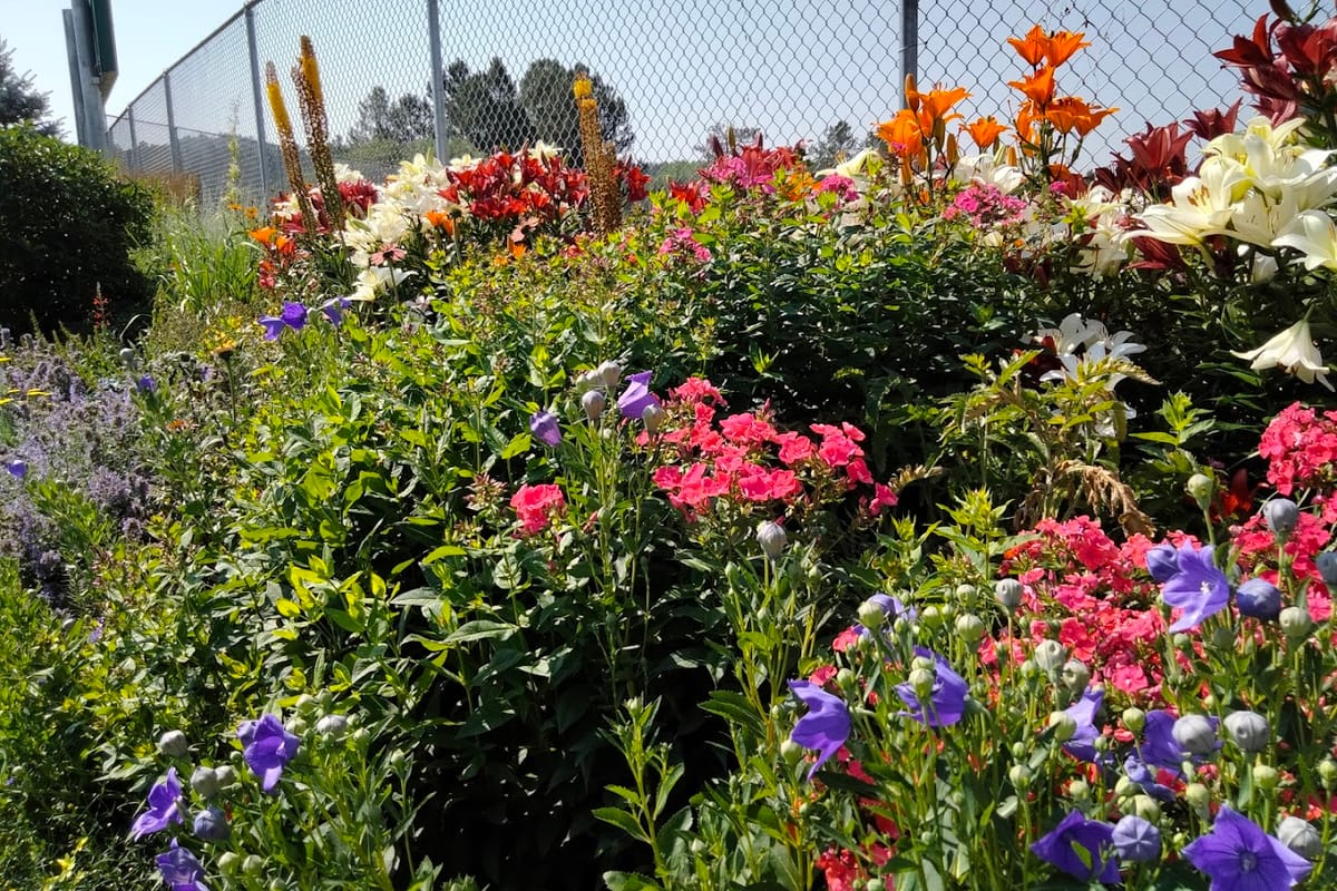 Larkspur Community Park exterior entrance