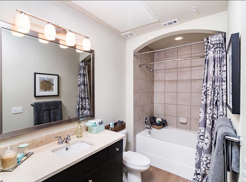 AMLI RidgeGate featured offerings