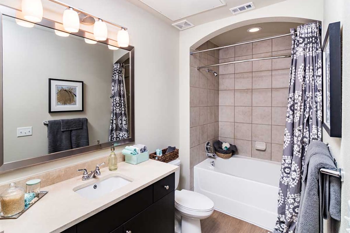 AMLI RidgeGate featured offerings