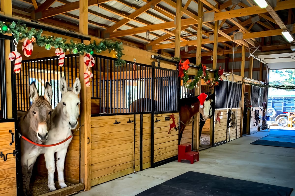 Interior view of The Random Ranch