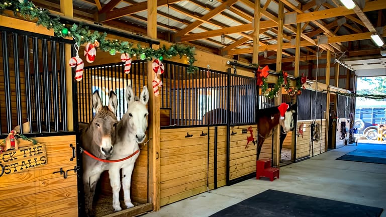 Interior view of The Random Ranch