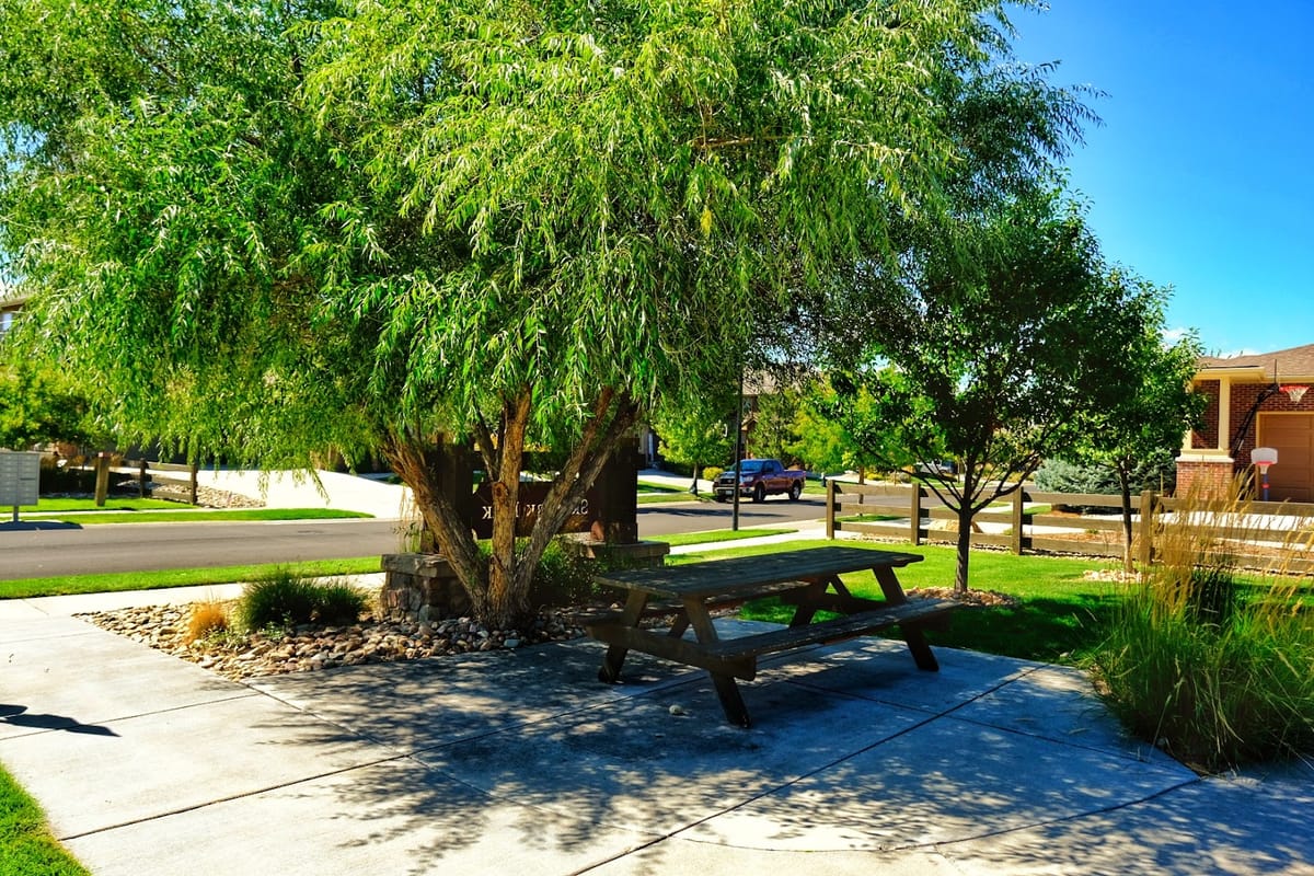Skylark Park featured offerings