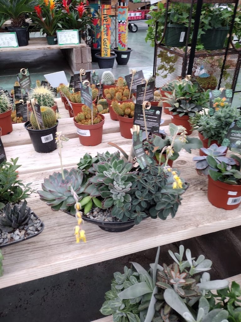 The Gardens Garden Center dining area