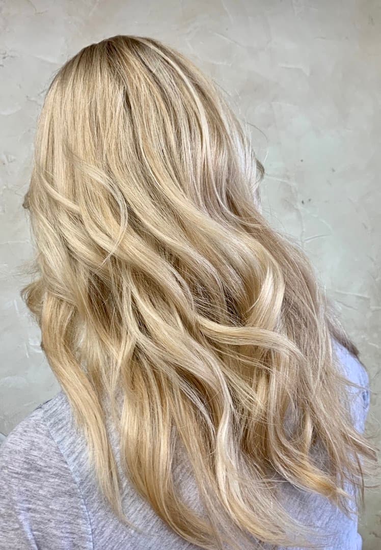 Wild Iris Salon Experience salon in Parker, Colorado