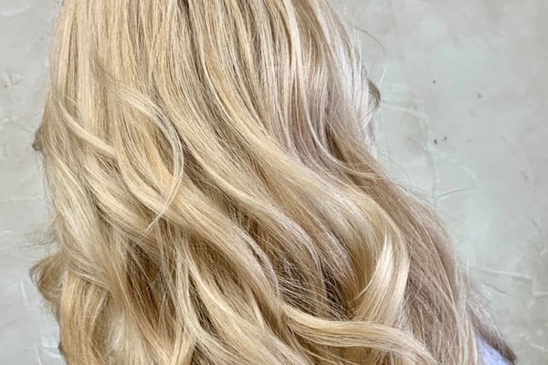 Wild Iris Salon Experience salon in Parker, Colorado
