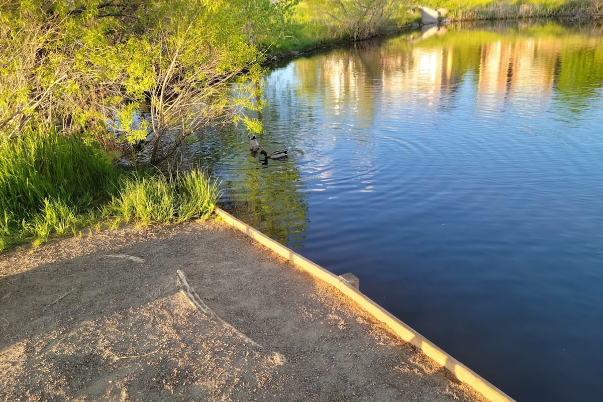 The Duck Pond featured offerings