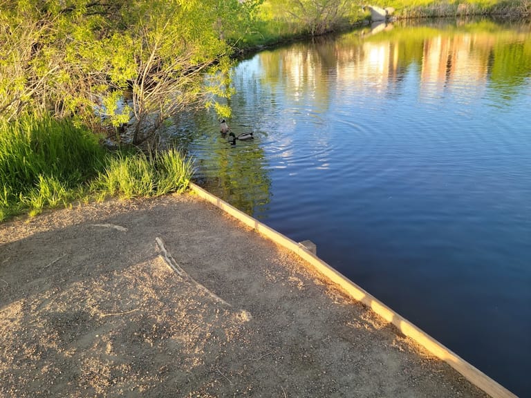 The Duck Pond featured offerings