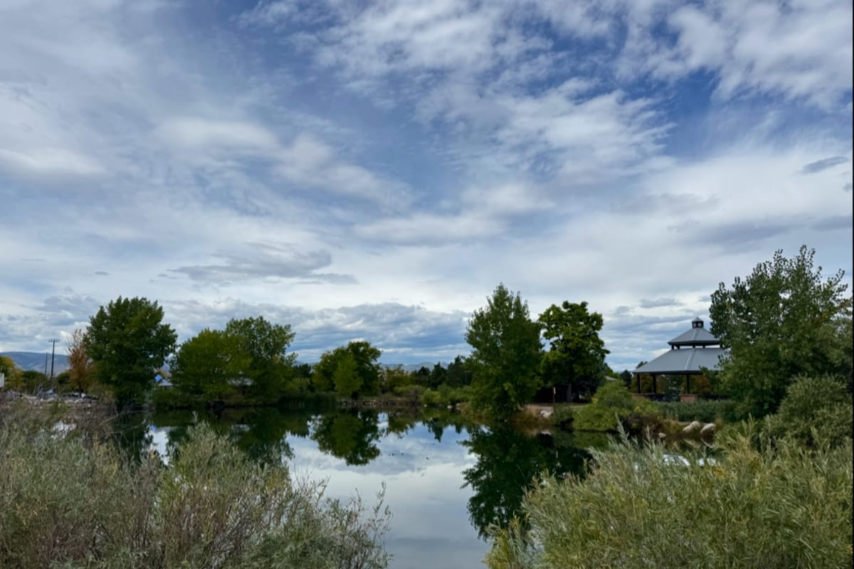 Interior view of Paul's Pond