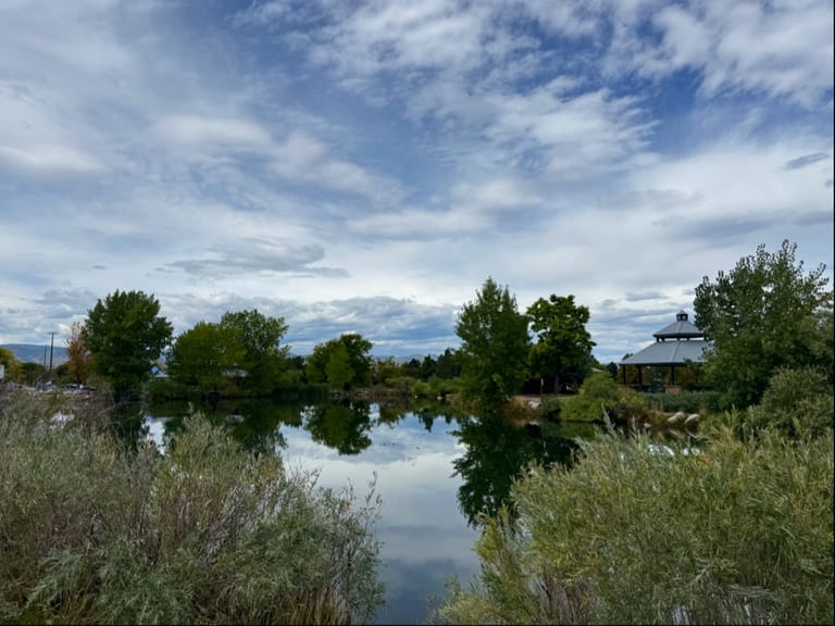 Interior view of Paul's Pond
