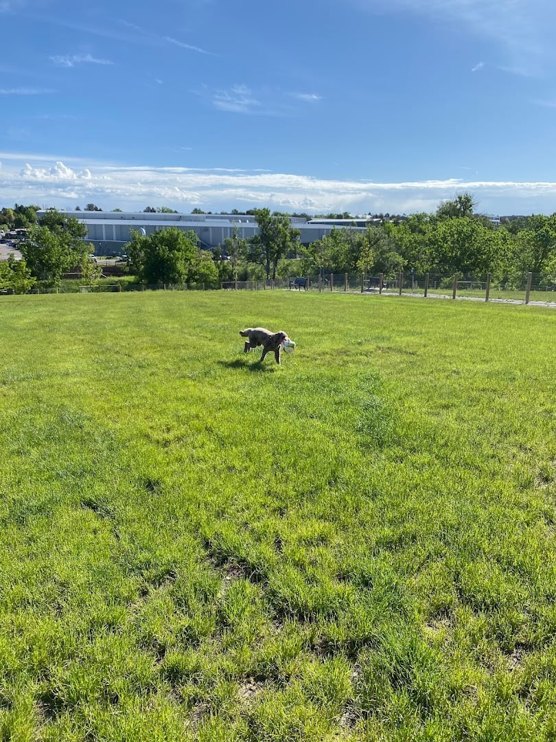 Interior view of David Lorenz Dog Park