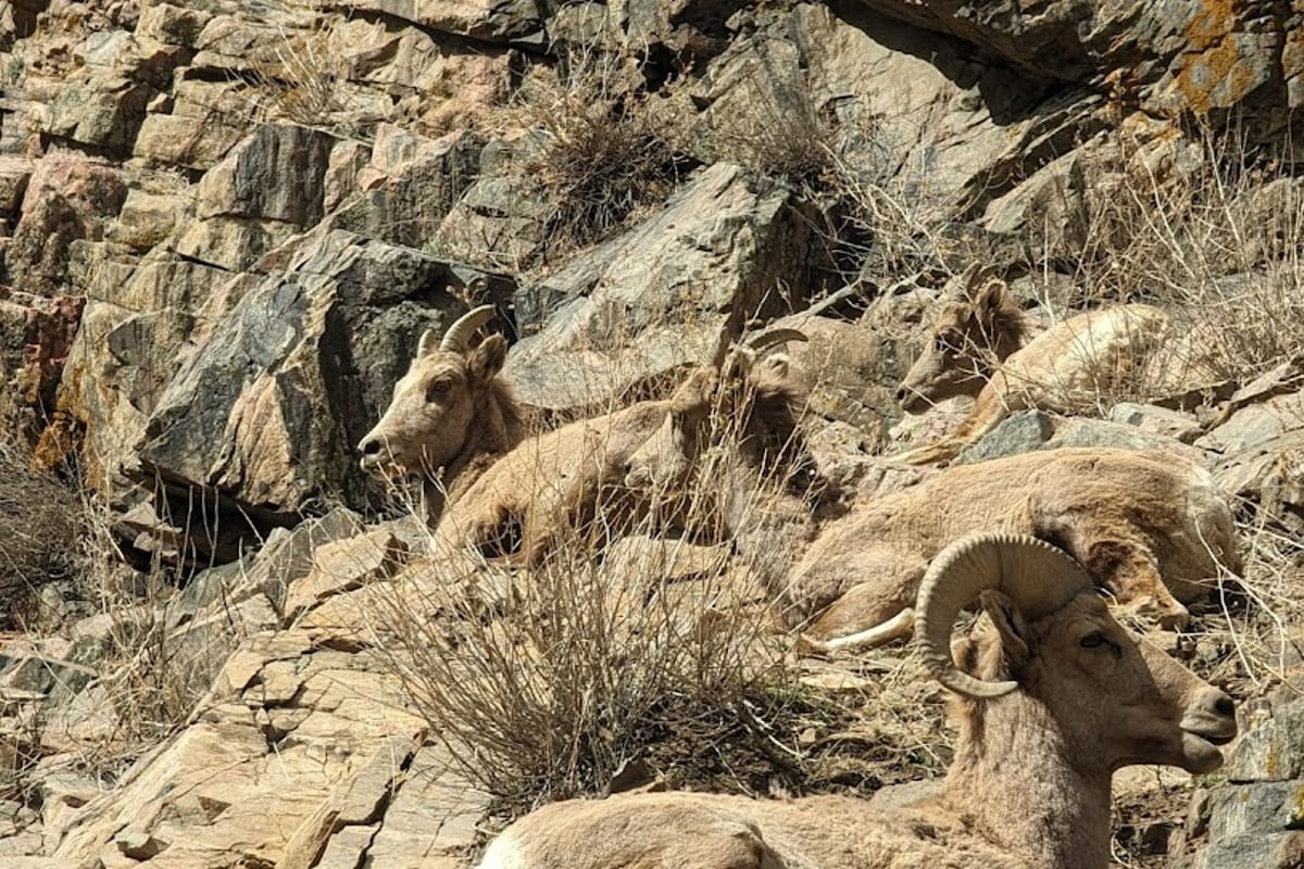 Waterton Canyon atmosphere and seating