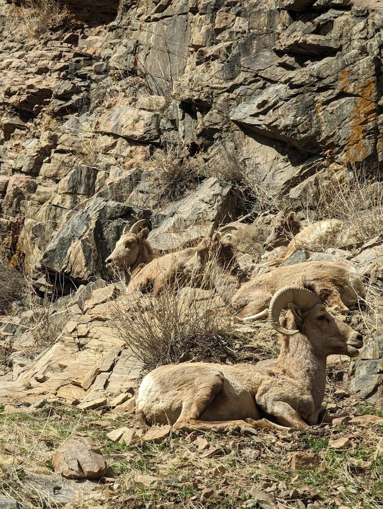 Waterton Canyon atmosphere and seating