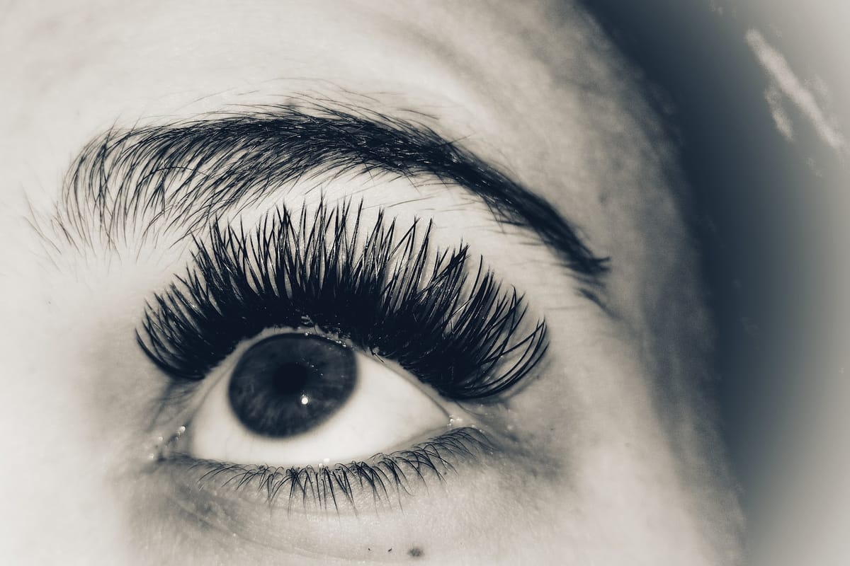 Lash Boutique featured offerings
