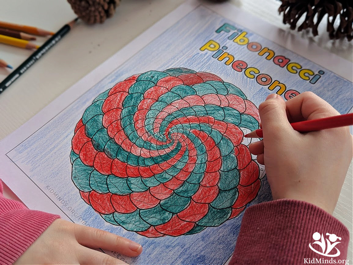 The Best Fibonacci Pinecone Coloring: Free PDF | KidMinds