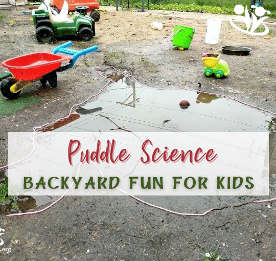 Let it rain: the science of puddles in the world | KidMinds