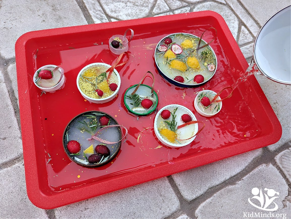 How to Make DIY Nature Ice Ornaments (Free PDF) | KidMinds