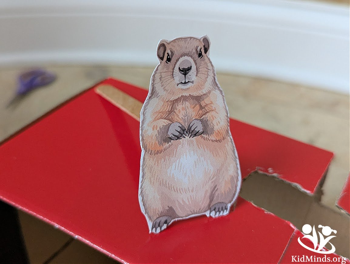 The Best 3D Shoebox Groundhog Burrow (Free PDF) | KidMinds