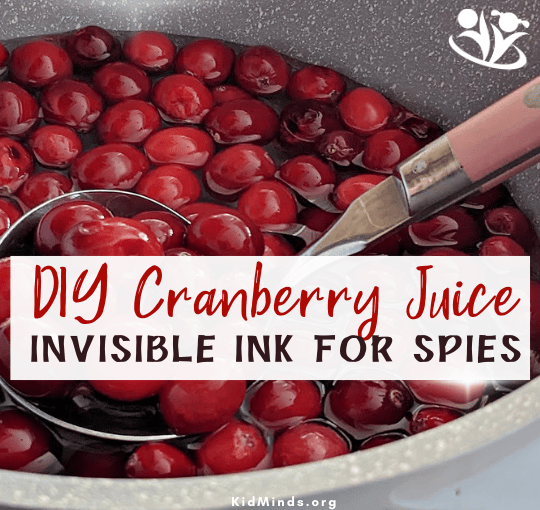 How to Make DIY Cranberry Juice Invisible Ink | KidMinds