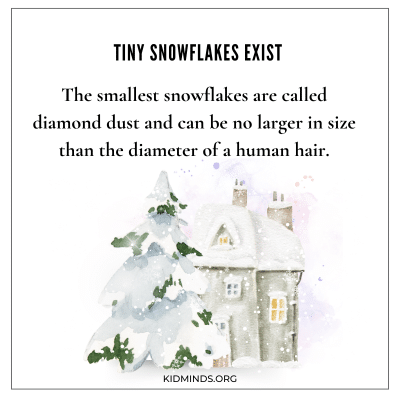 The Best Snowflake Facts for Kids (Free PDF) | KidMinds