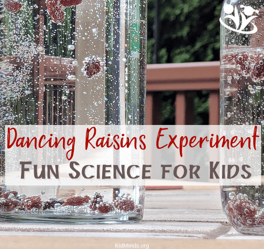 The Best Science Projects for Beginners: Free PDF | KidMinds
