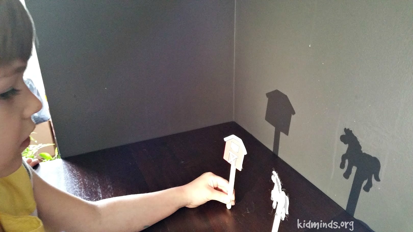 The Science of Shadows (Unit Study) | KidMinds