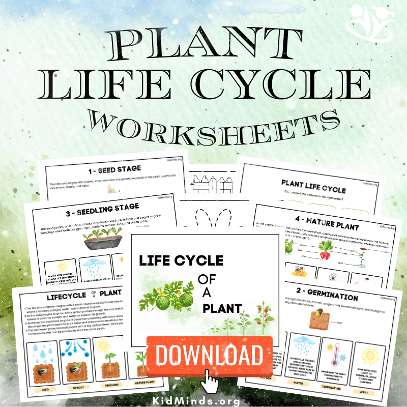 The Best Life Cycle of a Plant Pack (Free PDF) | KidMinds