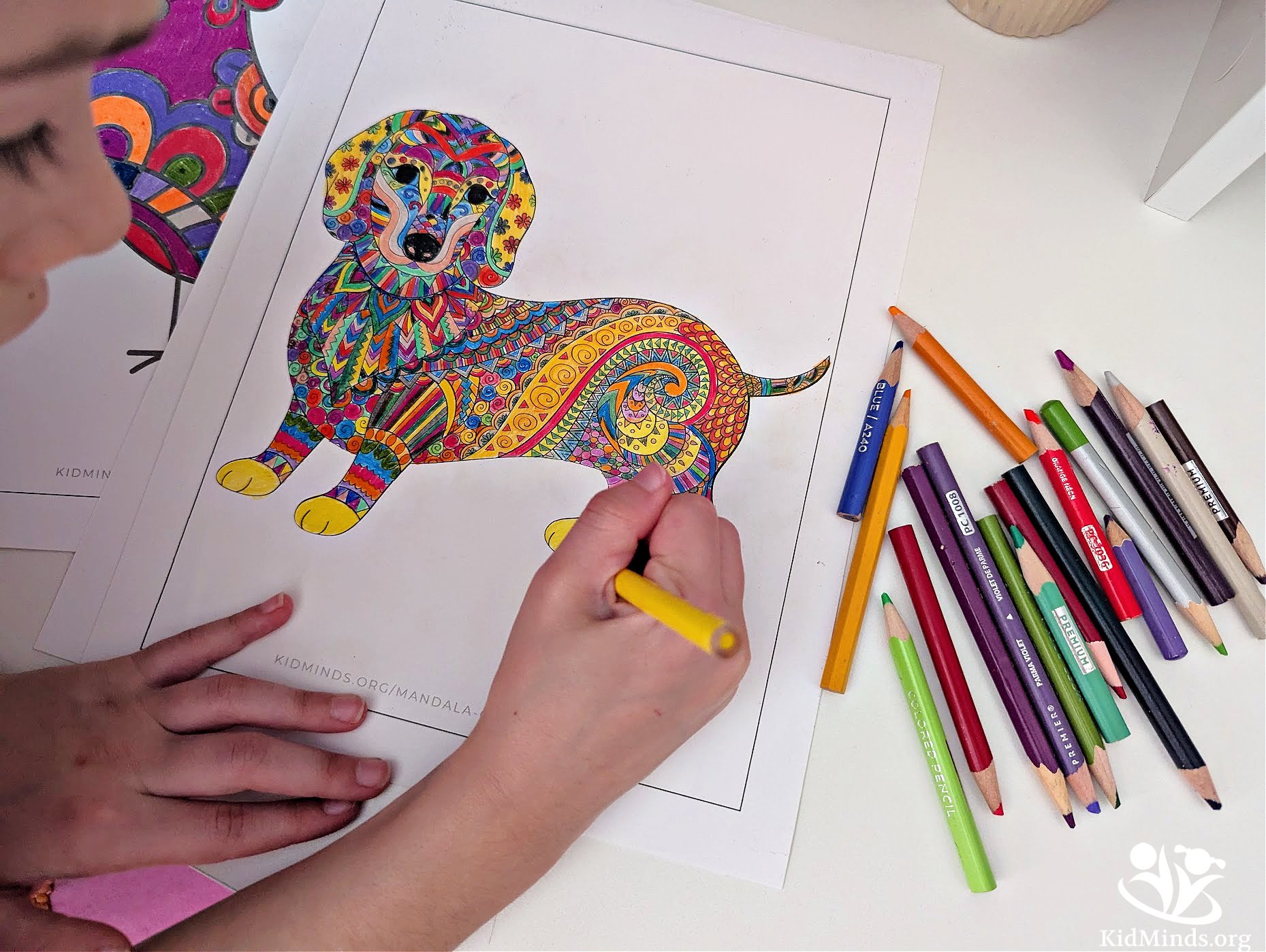The Best Mandala Coloring Pages for Kids (Free) | KidMinds