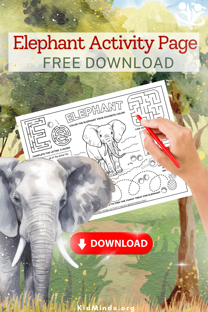 The Best Elephant Activity Page Free Download Kidminds