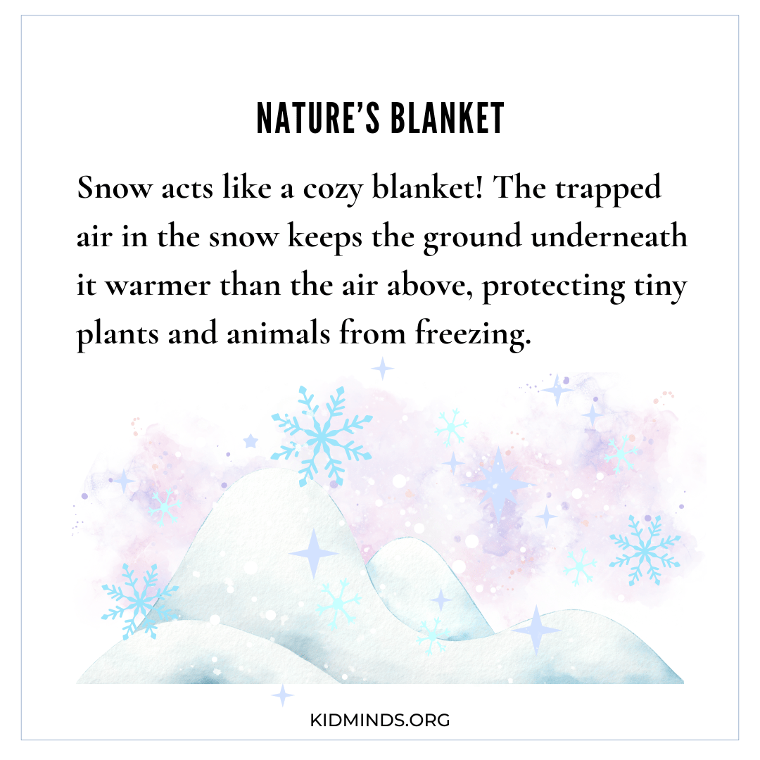 The Best Snow Facts for Kids (Free PDF) | KidMinds