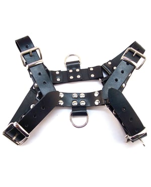 Rouge Over the Head Large Harness – Black by Rouge product image