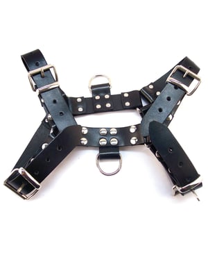 Rouge Over the Head XLarge Harness – Black by Rouge product image