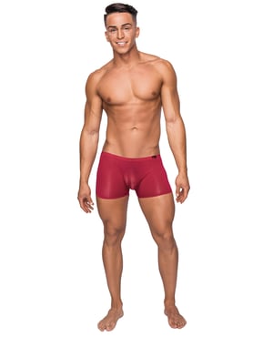 Seamless Sleek Short w/Sheer Pouch Red MD by Male Power product image