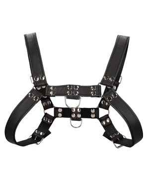 Shots Uomo Chest Bulldog Harness Large/XLarge – Black by Ouch Uomo product image