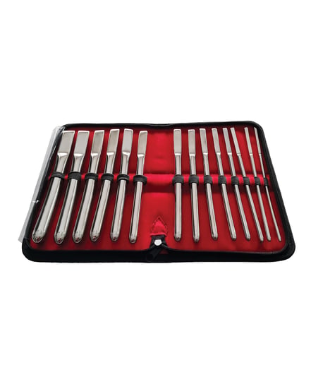 Rouge Stainless Steel Hegar Uterine Dilator Set – Set of 14 by Rouge product image