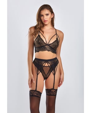 Everly Dot Mesh & Galloon Lace Strappy Bra, Garterbelt & Hipster Panty Black MD by iCollection Lingerie product image