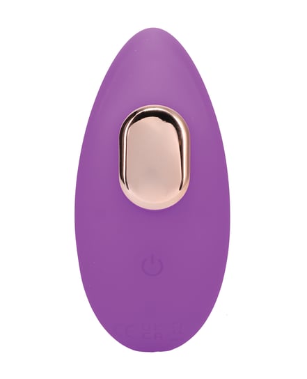 In A Bag Panty Vibe w/Remote – Purple by In A Bag product image
