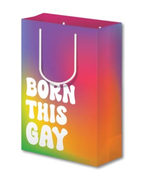 Born This Gay Pride Large Gift Bag by Kush Kards product image