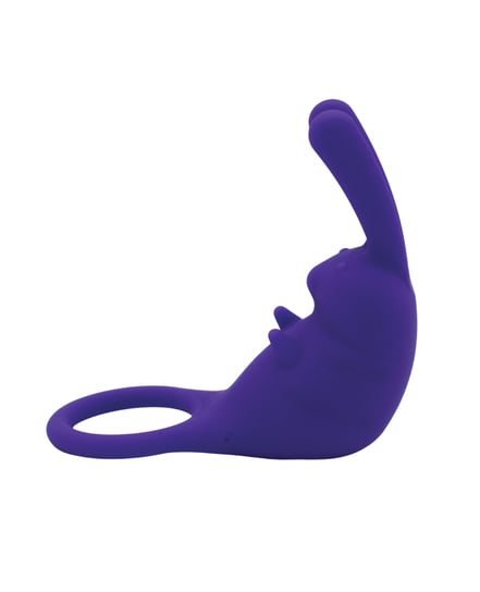 Natalie’s Toy Box The Cock Hopper Cock Ring & Bullet Vibrator – Purple by Like A Kitten product image