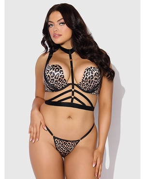 Devon Push Up Bra w/Harness & G-String 3 pc Set – Leopard 1X/2X by House of Desire product image