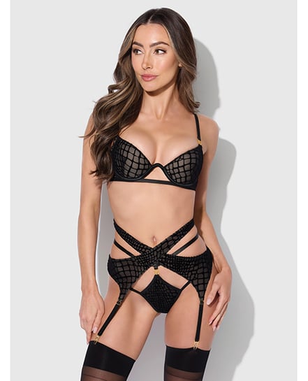 Snake Velvet-Burnout Mesh Bra, Garter, & Backless Hipster Set – Black SM by House of Desire product image