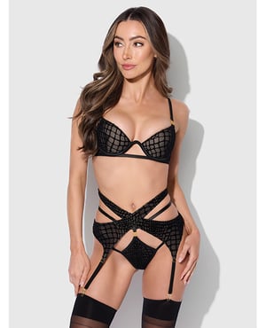 Snake Velvet-Burnout Mesh Bra, Garter, & Backless Hipster Set – Black LG by House of Desire product image