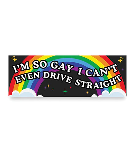 I’m So Gay Car Magnet by Sleazy Greetings product image