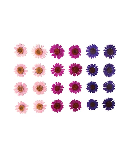 Neva Nude Garden Goddess Real Dried Pressed Flower Face & Body Stickers – Multicolor O/S by Neva nude product image