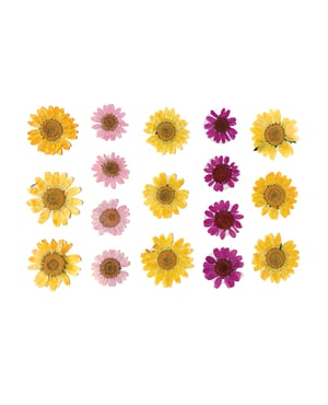 Neva Nude Indio Empress Real Dried Pressed Flower Face & Body Stickers – Yellow O/S by Neva nude product image