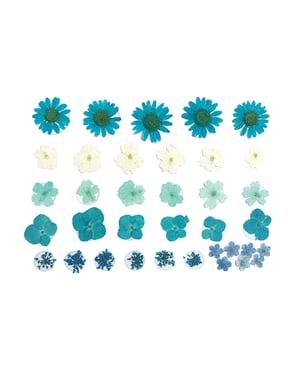 Neva Nude Spring Fling Real Dried Pressed Flower Body Stickers – Blue O/S by Neva nude product image