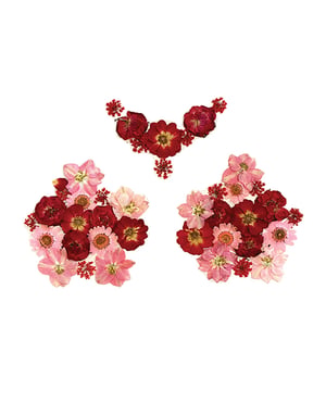Neva Nude Harvest Moondancer Real Dried Pressed Flower Pasties – Red O/S by Neva nude product image