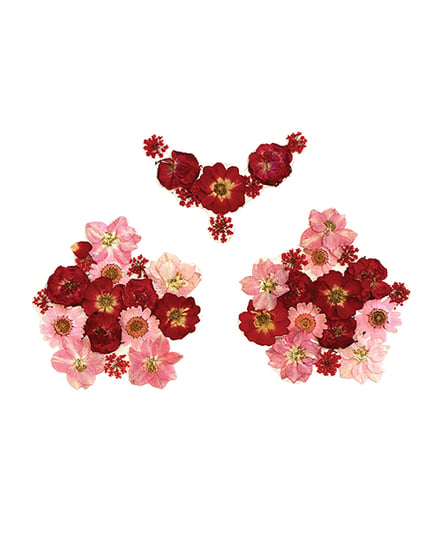 Neva Nude Harvest Moondancer Real Dried Pressed Flower Pasties – Red O/S by Neva nude product image