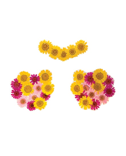 Neva Nude Indio Empress Real Dried Pressed Flower Pasties – Yellow O/S by Neva nude product image