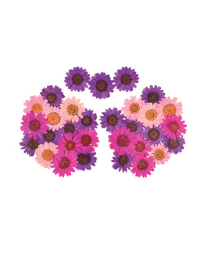 Neva Nude Garden Goddess Real Dried Pressed Flower Pasties – Pink O/S by Neva nude product image